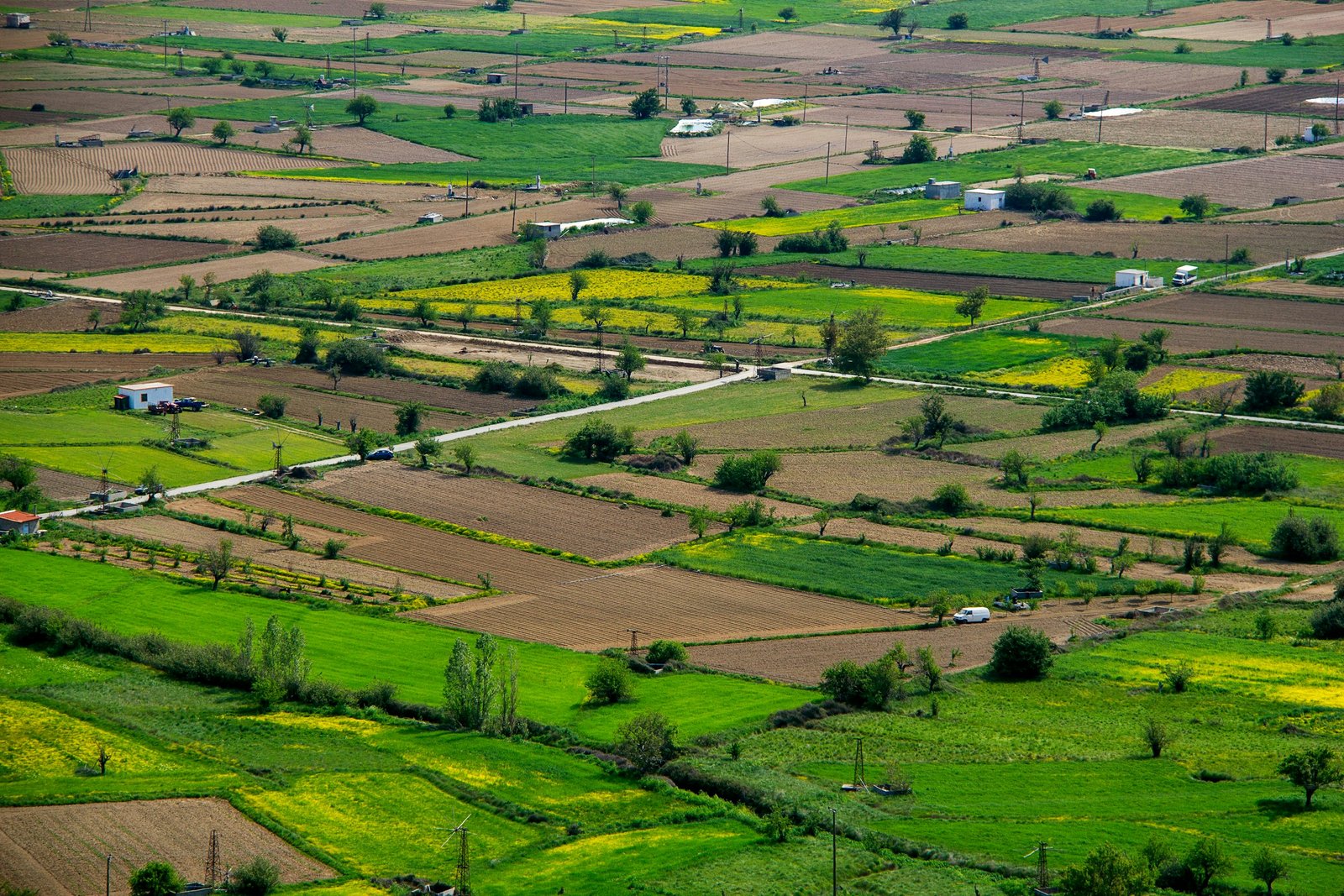 housa